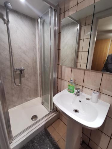 a bathroom with a sink and a shower at Palaz 1 - 2 Bedroom Garden Flat in Edmonton