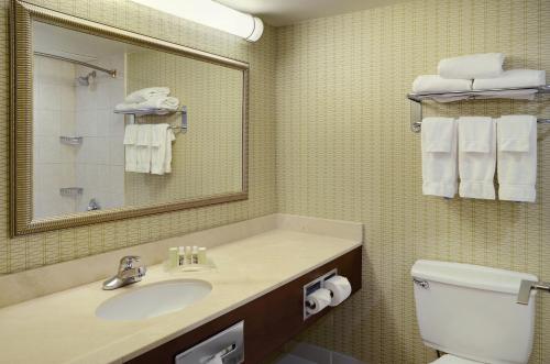 a bathroom with a sink and a mirror and a toilet at Holiday Inn Hotel & Suites London, an IHG Hotel in London