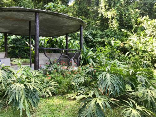 Zahrada ubytování Arenal Roca Suites