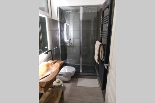 une salle de bain avec une douche, des toilettes et un lavabo dans l'établissement Chaleureux petit appartement de 4 couchages, à Saint-Étienne-de-Tinée