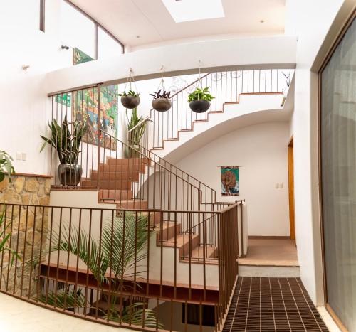 a staircase in a building with potted plants at La Cochinilla Hotel Boutique in Oaxaca City
