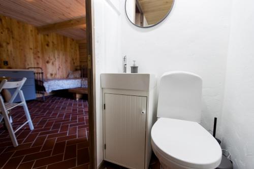 łazienka z toaletą i lustrem na ścianie w obiekcie ETNO house w mieście Ricieliai