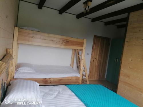 a bedroom with a bunk bed with a ladder at Cabana Agroturistica Runc in Borşa