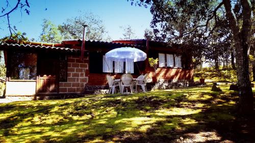 a house with two chairs and a tent in the yard at Cabaña en medio del bosque ZA in Acaxochitlán