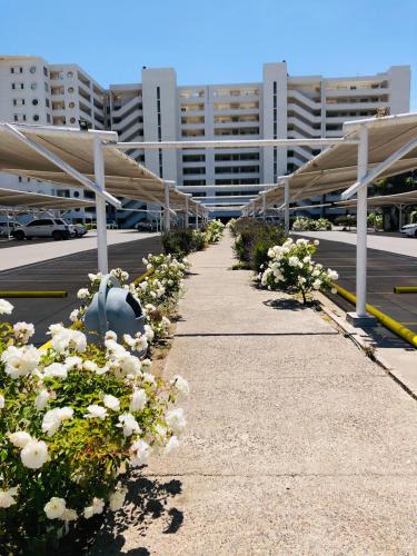 a row of white flowers in a parking lot at Departamento La Serena Avenida Del Mar in La Serena