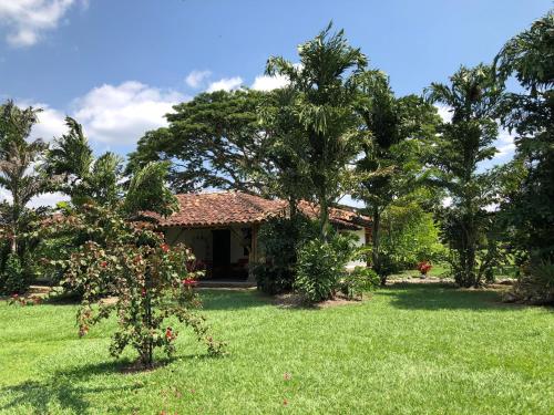 a house in a field with trees and grass at Finca Hotel Brasilia in La Tebaida