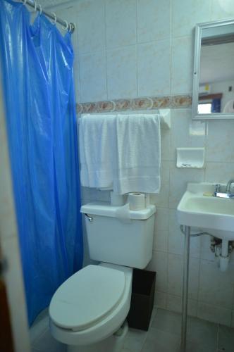 a bathroom with a toilet and a sink and a blue shower curtain at Hotel San Diego in Mazatlán