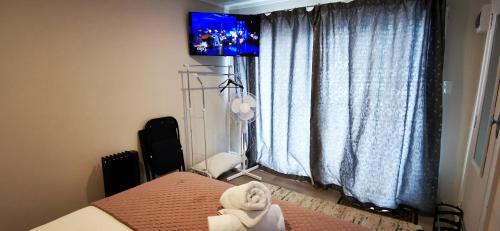 a bedroom with a bed with a tv and a window at Regent Residential Villa in Whangarei