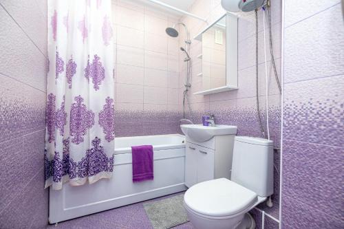 y baño con aseo, lavabo y ducha. en Apartment on Chistopolskaya 66 en Kazán