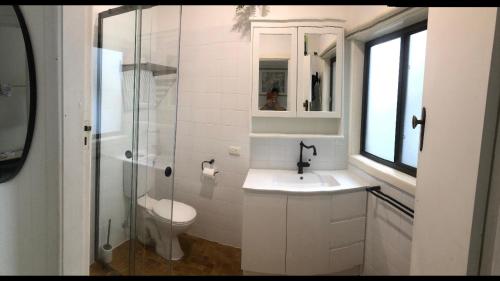 a bathroom with a toilet and a sink and a shower at The Fisherman's Shack in The Entrance