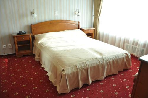 Gallery image of Hotel Traian in Brăila