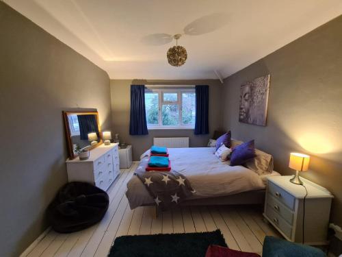 a bedroom with a large bed with blue pillows at love-lyph stays in Watford