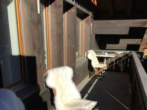 a dog standing on a balcony looking out a window at Apartment Turmalin 2- Stock by Interhome in Lenk