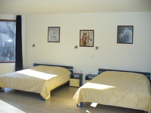 Gallery image of Guest House Alfa Daniel in Balkanets