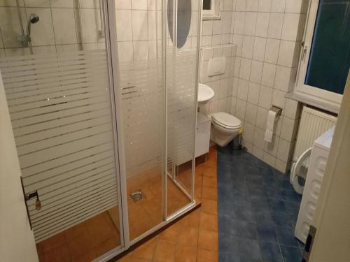 a bathroom with a toilet and a glass shower at Gästehaus 22 - Appartementhaus in Baden-Baden