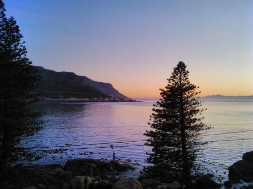a tree on the shore of a lake at sunset at Paradise On the Bay in Fish hoek