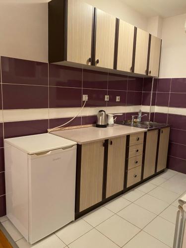 a kitchen with a refrigerator and a dishwasher at MS APARTMENTS in Kragujevac