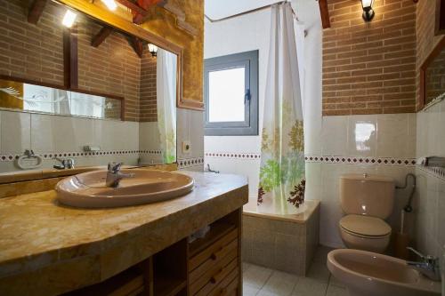 a bathroom with a sink and a toilet and a mirror at Holidays Domus Iano in Esparraguera