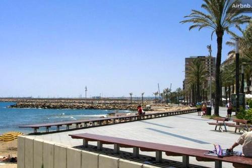 a beach with benches and palm trees and the water at Modern apartment in Torrevieja, 60 m², near beaches in Torrevieja