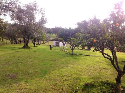 Un jardín fuera de One bedroom villa with private pool enclosed garden and wifi at Silveiras
