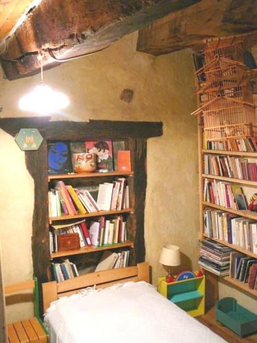 a bedroom with a bed and book shelves filled with books at Maison confortable en pleine nature près de Vesc avec jacuzzi in Vesc