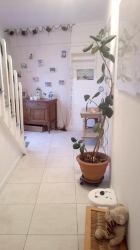 a hallway with a potted plant on the floor at Charmante maison près de Primelin avec jardin et terrasse in Primelin