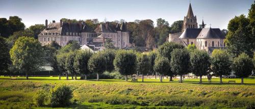 un gran castillo en la cima de un campo verde en Studio avec wifi a Saint Ay en Saint-Ay