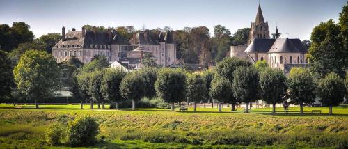 ein großes Schloss auf einem grünen Feld in der Unterkunft Studio avec wifi a Saint Ay in Saint-Ay