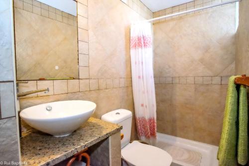 een badkamer met een wastafel, een toilet en een douche bij One bedroom appartement with shared pool enclosed garden and wifi at Monchique in Monchique