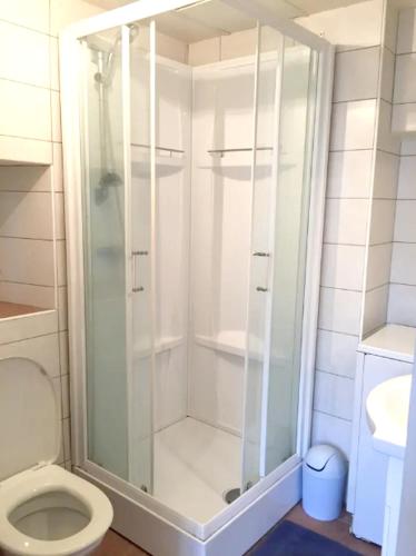 une douche dans une salle de bain avec toilettes dans l'établissement Appartement cosy à La Bourboule, 40 m², casier à skis, à La Bourboule