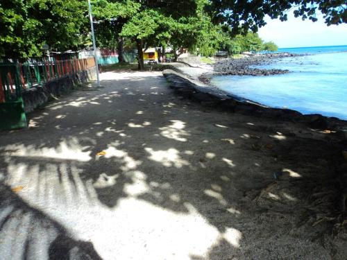 a shadow of a tree on the beach at Charming Apartment in Pamplemousses, 30 m² with Garden View in Pamplemousses Village