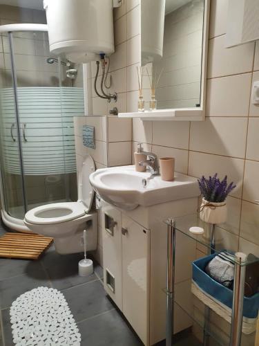 La salle de bains est pourvue d'un lavabo, de toilettes et d'un miroir. dans l'établissement Zora Apartman Zlatibor, à Zlatibor