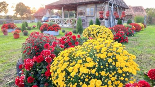 a garden of flowers in front of a house at Etno selo EDEN in Žeravački Potok