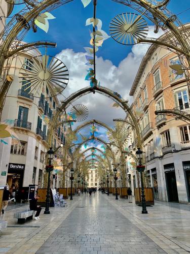 Homely Málaga Larios