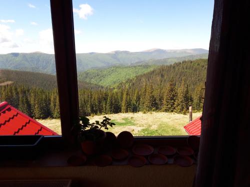 a window with a view of a mountain view at Piatra Rancii in Ranca