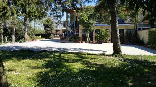 a house with a tree in front of a driveway at b&b Bigolin Cristina in Fossalòn