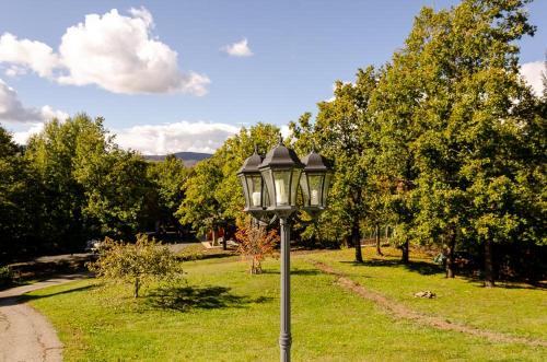 a street light in a field of grass with trees at La ghiandaia in Berceto