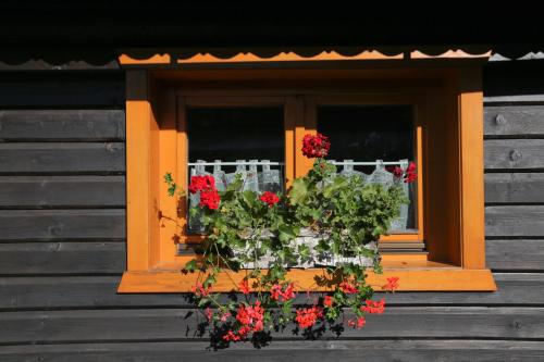 a window of a wooden house with red flowers in it at Drevenica pod Lánom in Zuberec