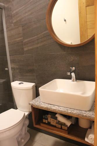 a bathroom with a sink and a toilet and a mirror at Hotel Quinta del Bosque in Mazamitla