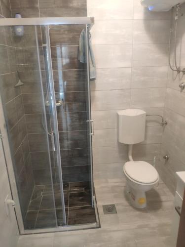uma casa de banho com um WC e uma cabina de duche em vidro. em Apartment Tome em Biograd na Moru