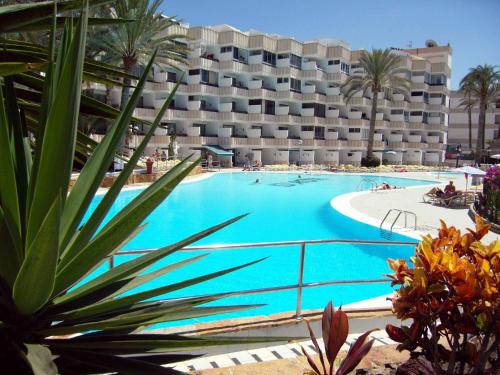 Gallery image of Sweet studio Playa Del Ingles I in Maspalomas