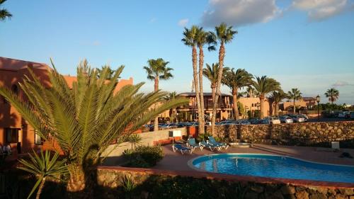 - une vue sur un complexe avec une piscine et des palmiers dans l'établissement Small&Sunny WiFi Premium vivienda vacacional, à Corralejo