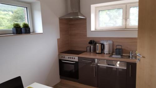 a small kitchen with a stove and a sink at Niederdreisbacher Hütte - moderne Doppelzimmer - EINZELBETTEN - in Niederdreisbach