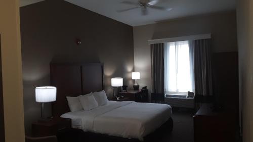 um quarto de hotel com uma cama e uma janela em Comfort Inn & Suites em Grenada