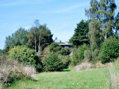 een grasveld met bomen en een huis op de achtergrond bij 6 person holiday home in Rudk bing in Spodsbjerg