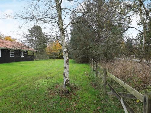 a tree in a field next to a fence at 6 person holiday home in Hals in Hals