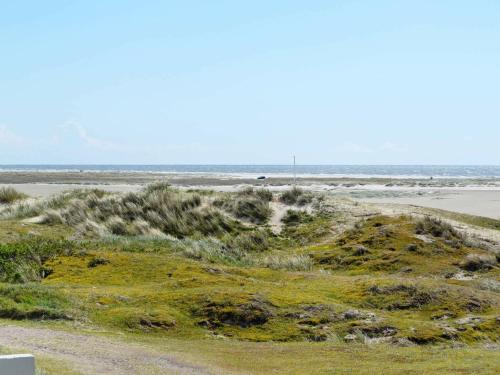 una playa con césped y el océano en el fondo en 4 person holiday home in Fan, en Fanø