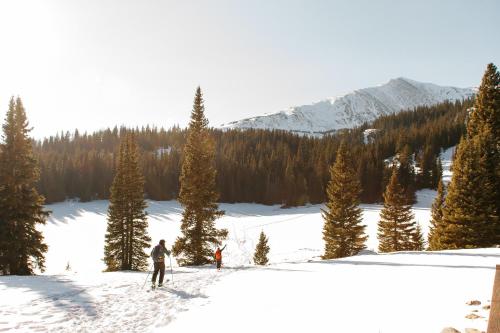 two people skiing down a snow covered slope with trees at Beyul Retreat in Meredith