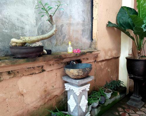 a stone bird bath sitting on a ledge with potted plants at Genta House in Kuta
