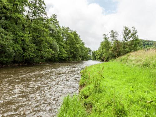 a river with trees on the side of it at Nature Escape in Bohon in Barvaux
